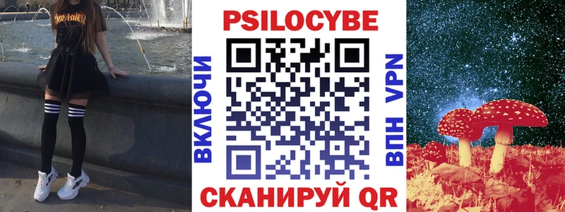 omg онион  цена   Харабали  Галлюциногенные грибы Psilocybe 
